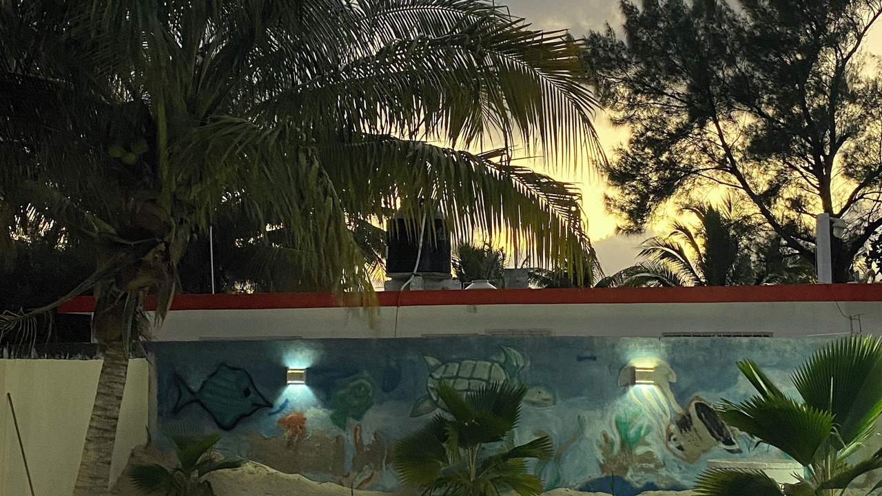 Photo of Outdoor in Chelem