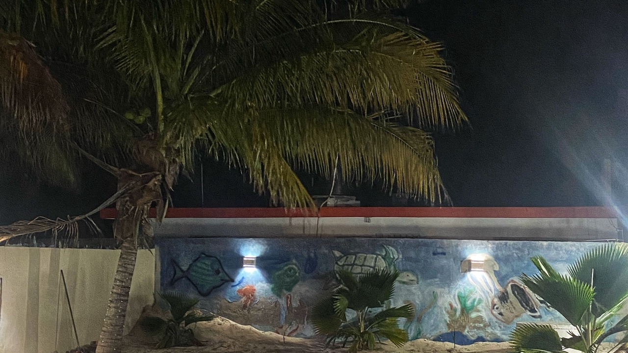 Photo of Outdoor in Chelem