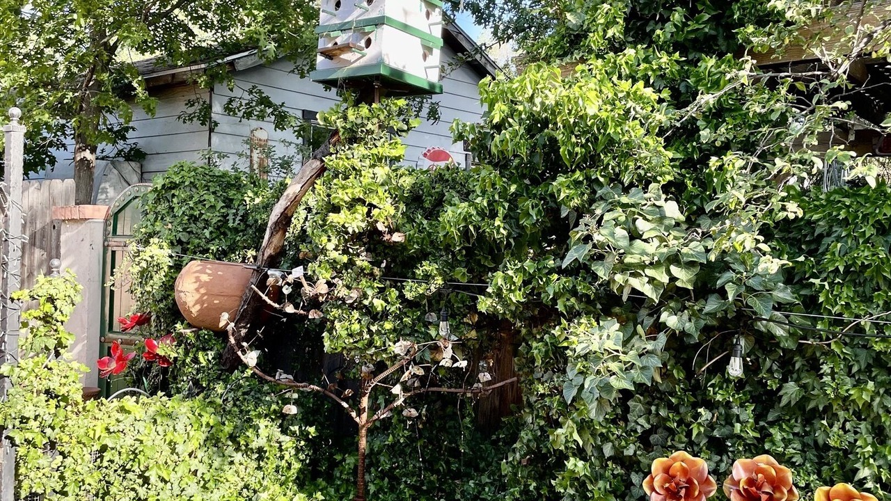 Photo of Outdoor in Prescott