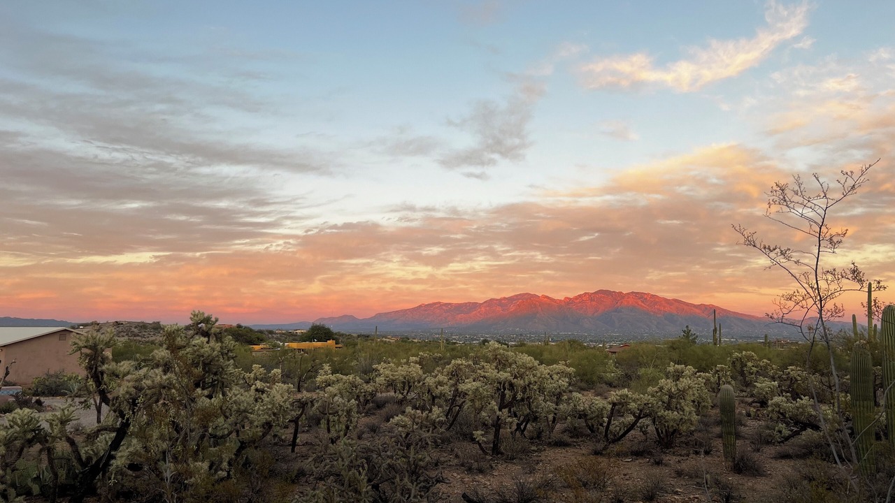 Photo of Others in Tucson