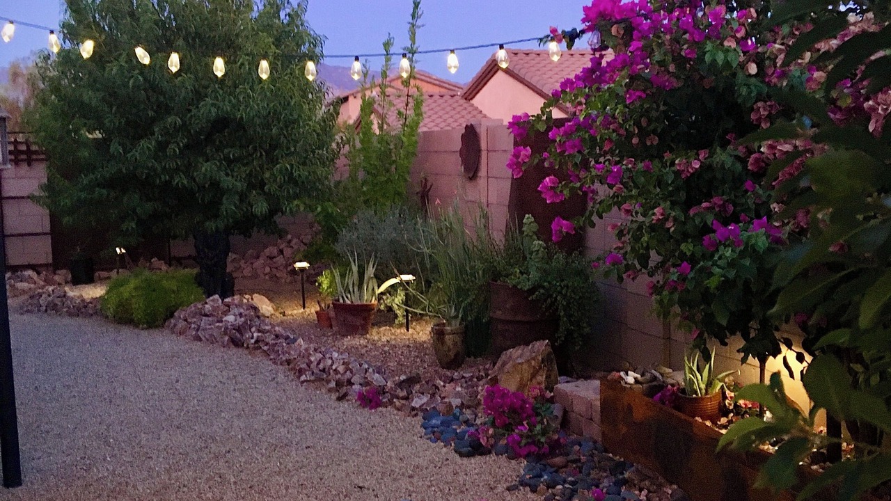 Photo of Outdoor in Rancho Vistoso