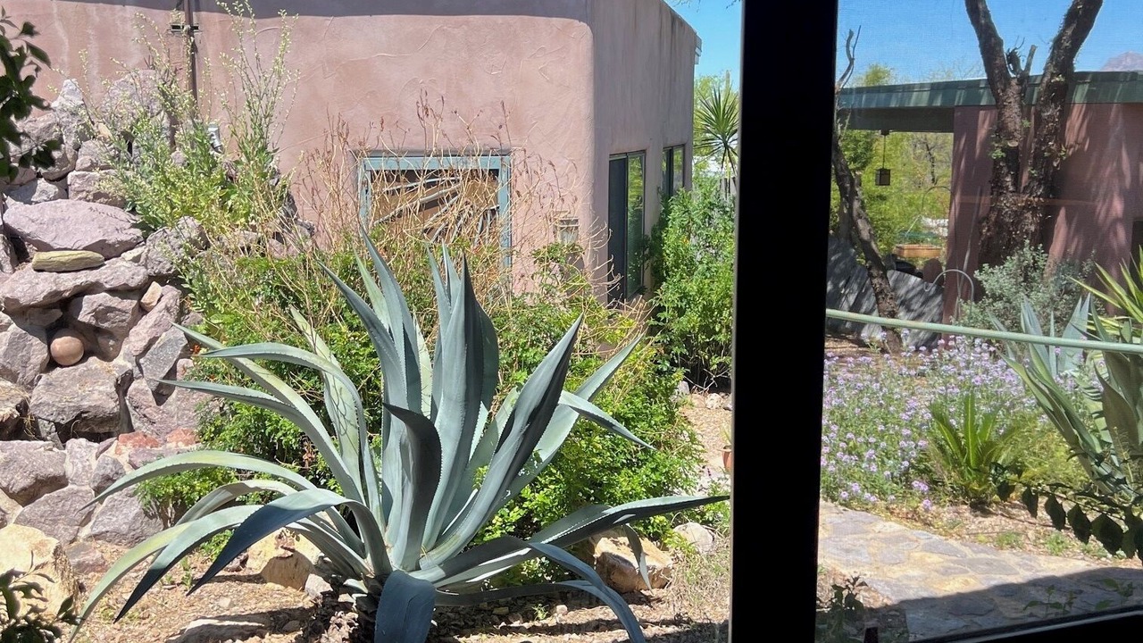 Photo of Others in Tucson