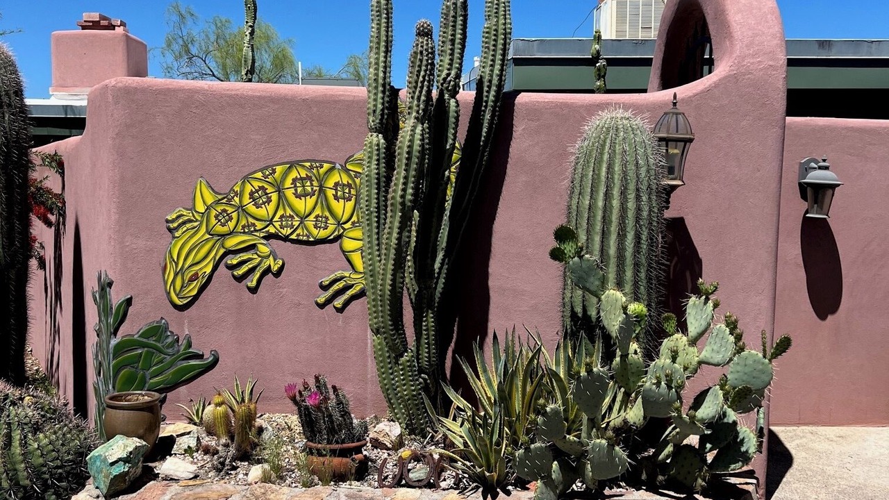 Photo of Outdoor in Tucson