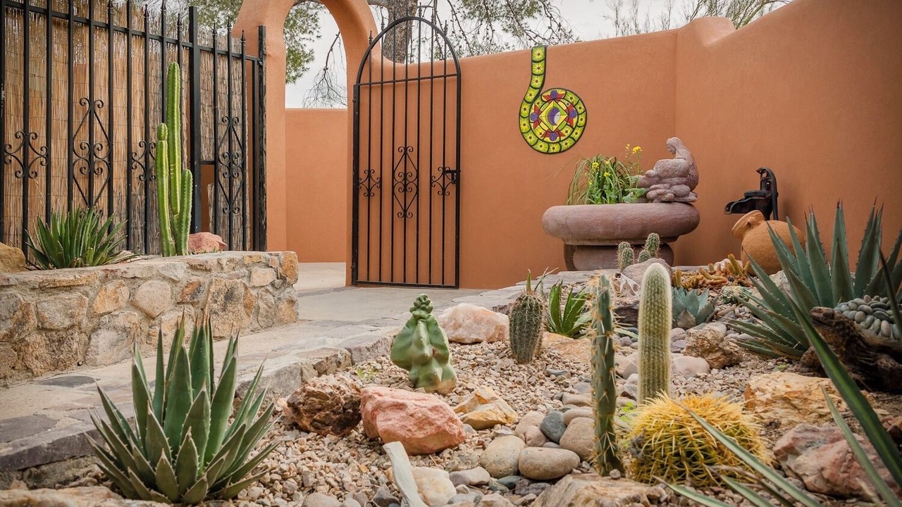 Photo of Others in Tucson