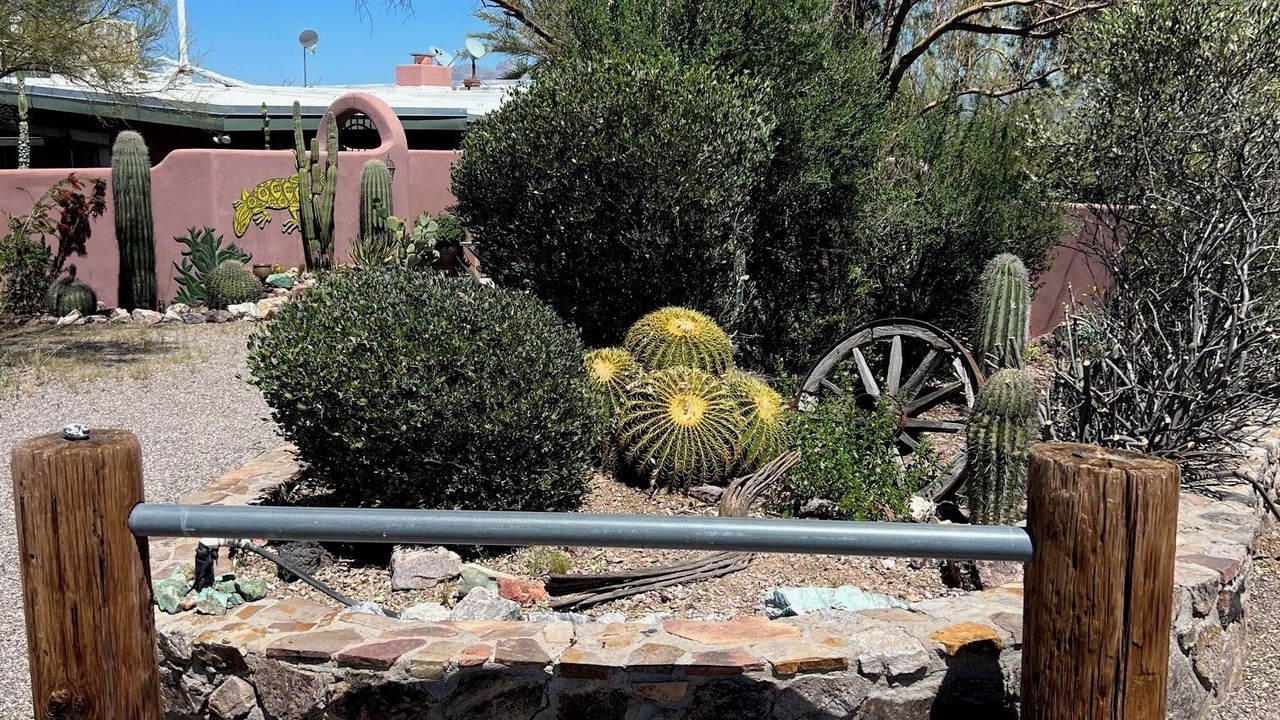 Photo of Others in Tucson