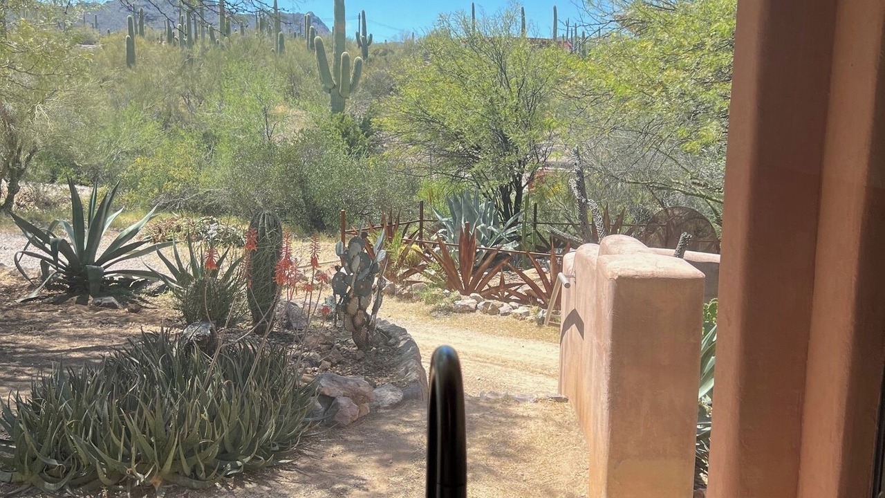 Photo of Others in Tucson