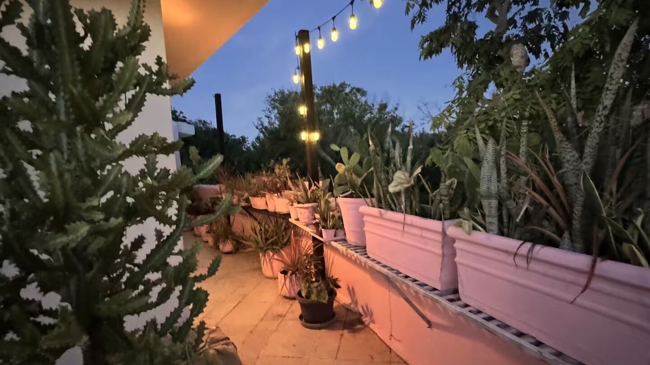 Photo of Outdoor in Akumal