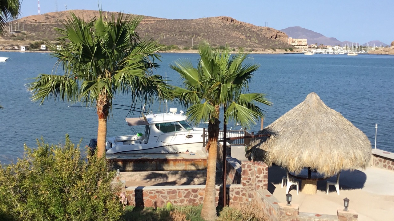 Photo of Outdoor in San Carlos