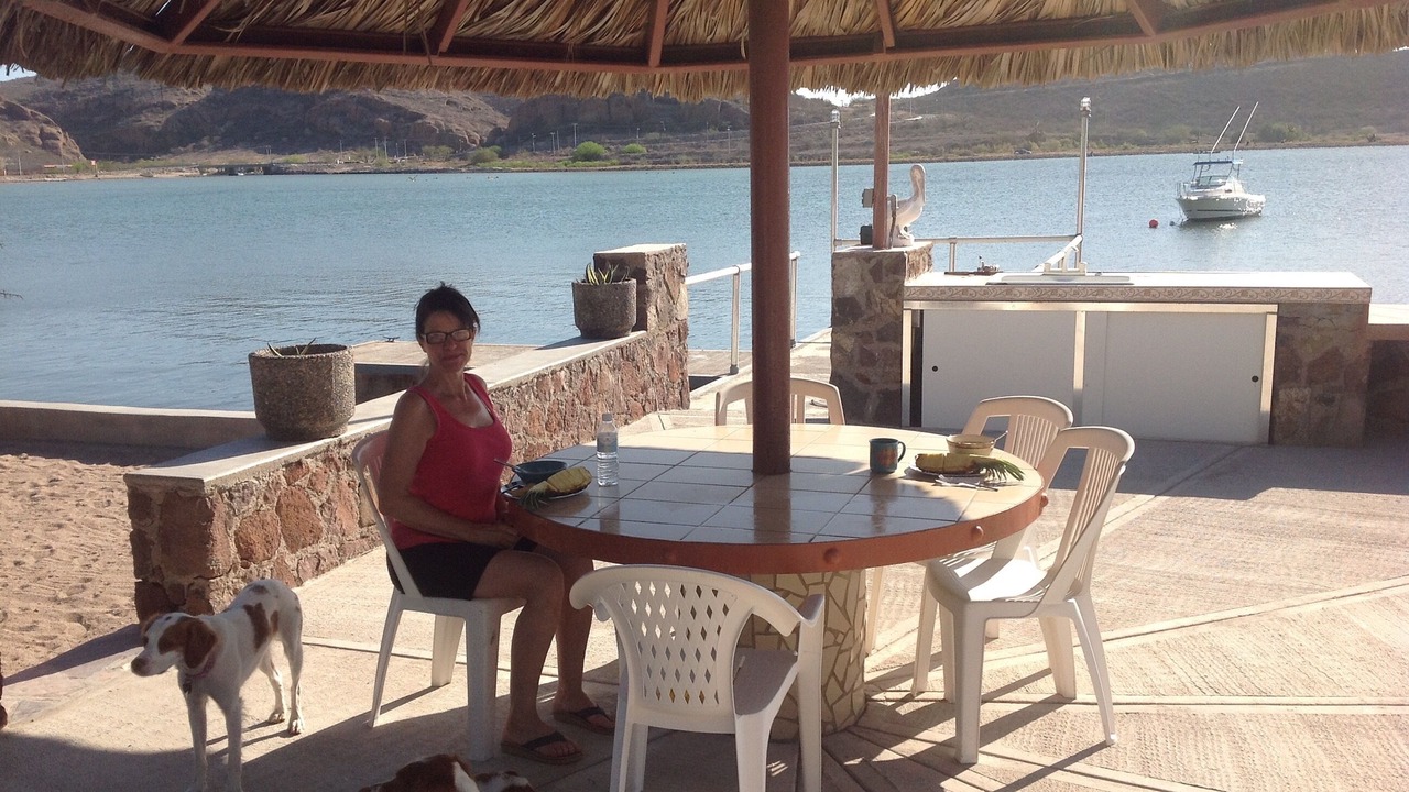 Photo of Outdoor in San Carlos