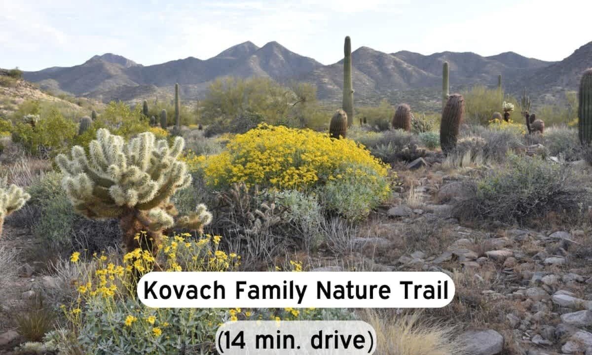 Photo of Others in McDowell Mountain Apartments