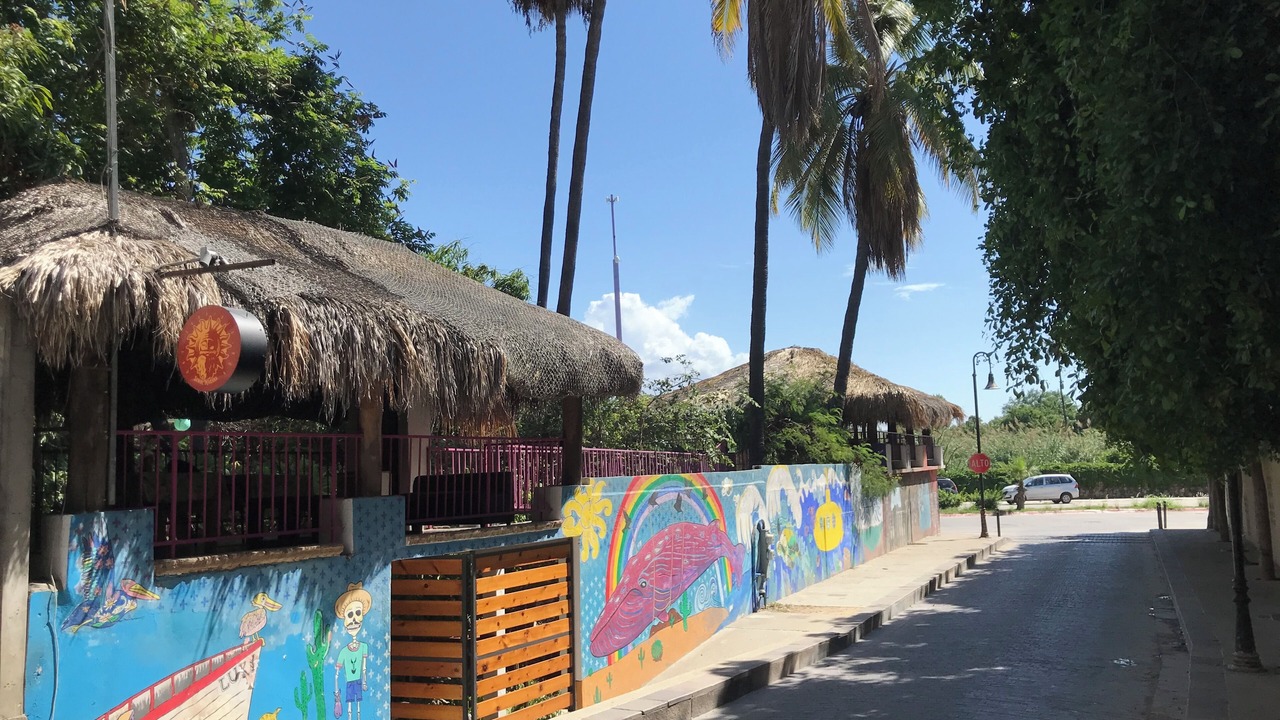 Photo of Others in San Jose del Cabo
