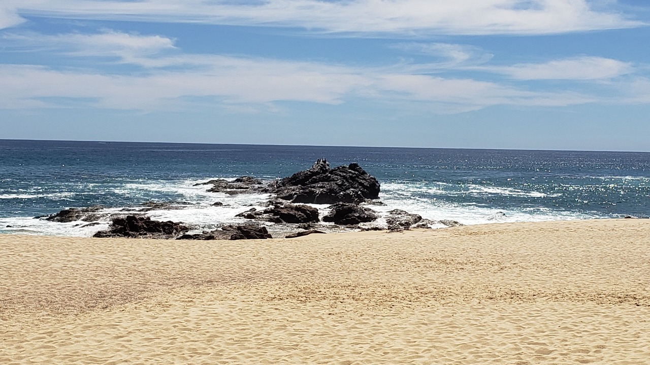 Photo of Others in San Jose del Cabo