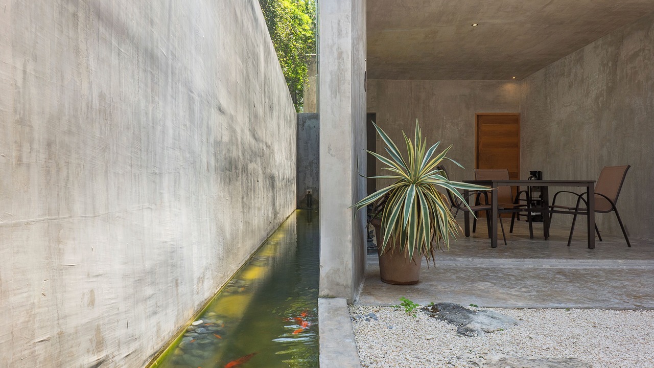 Photo of Outdoor in Puerto Juarez