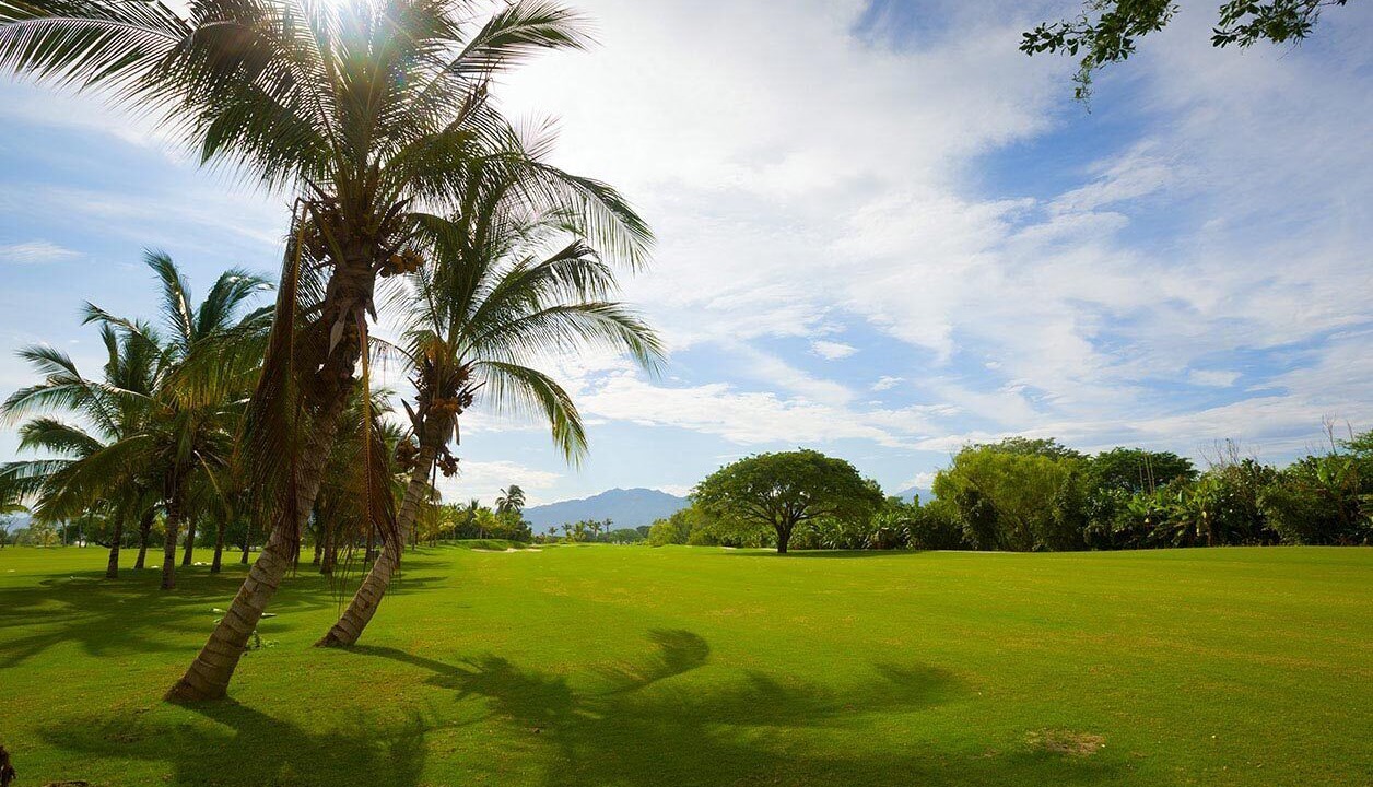 Photo of Others in Nuevo Vallarta
