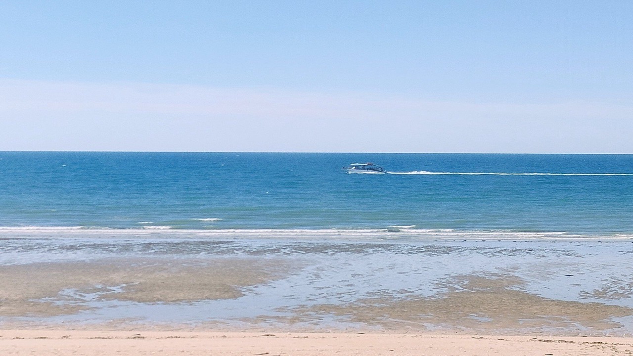 Photo of Others in Puerto Penasco