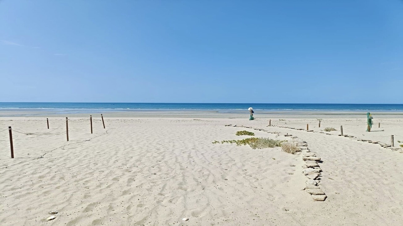 Photo of Others in Puerto Penasco