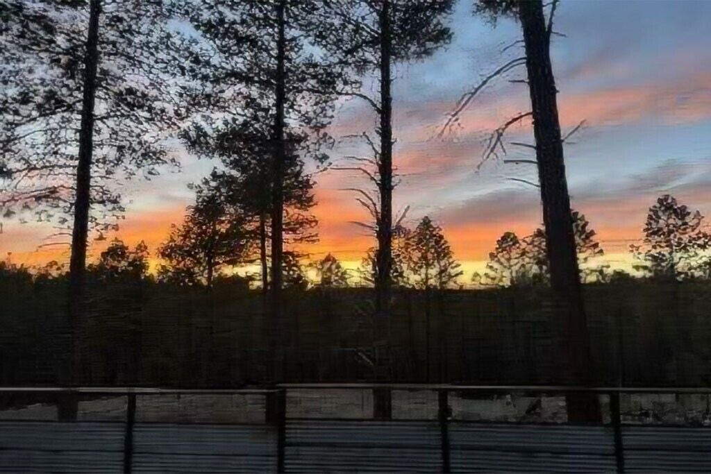 Photo of Others in Northern Arizona University