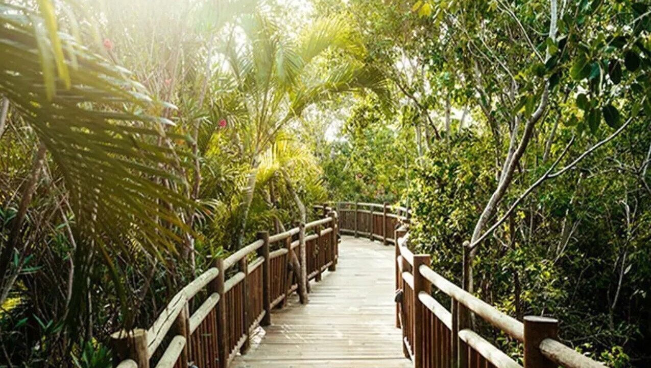 Photo of Outdoor in Gonzalo Guerrero