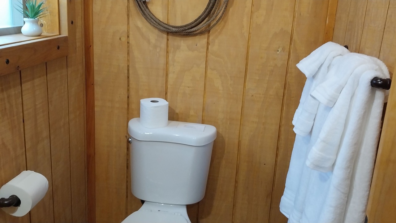 Photo of Bathroom in Cottonwood