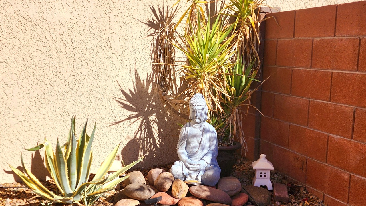 Photo of Outdoor in Casas Adobes