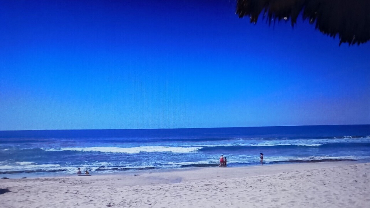 Photo of Others in Mazatlan