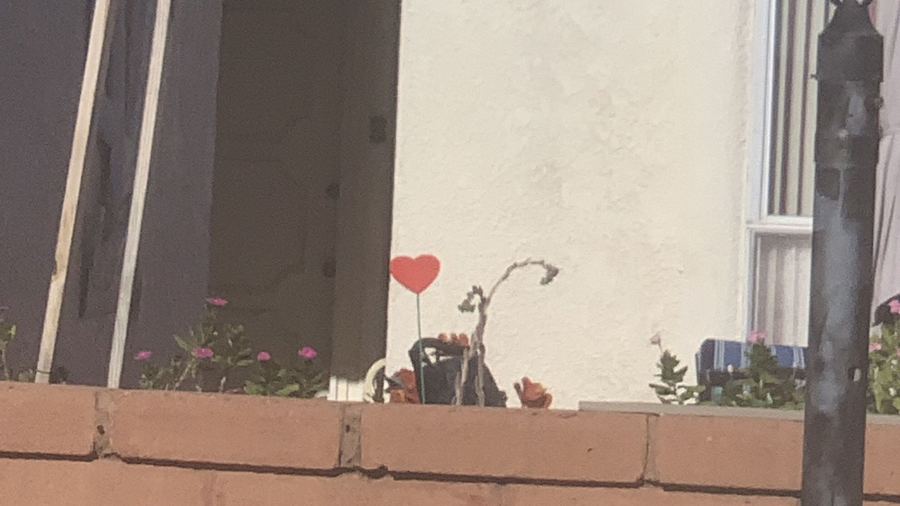 Photo of Others in Colonia De Los Alamos