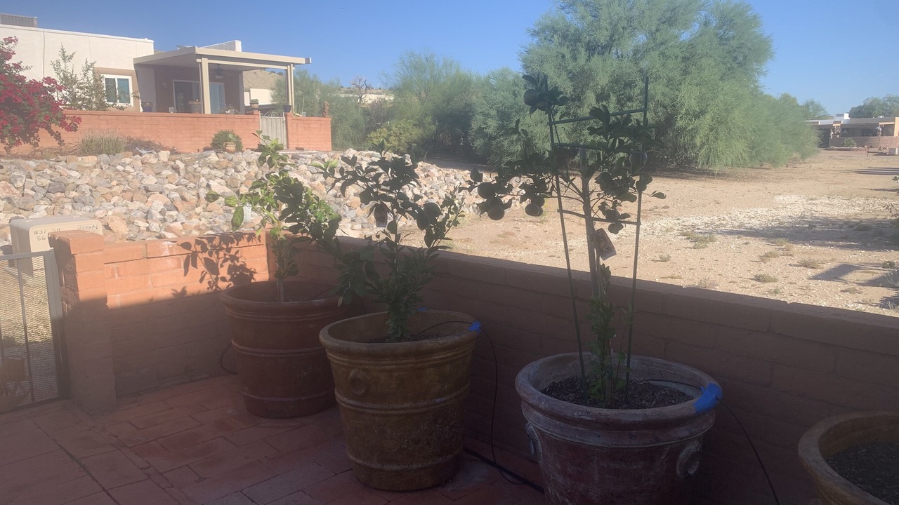 Photo of Outdoor in Colonia De Los Alamos