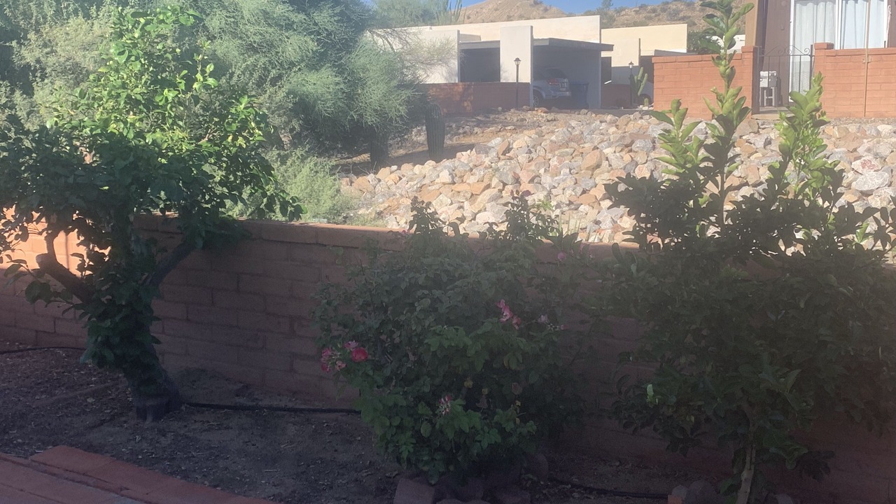Photo of Outdoor in Colonia De Los Alamos