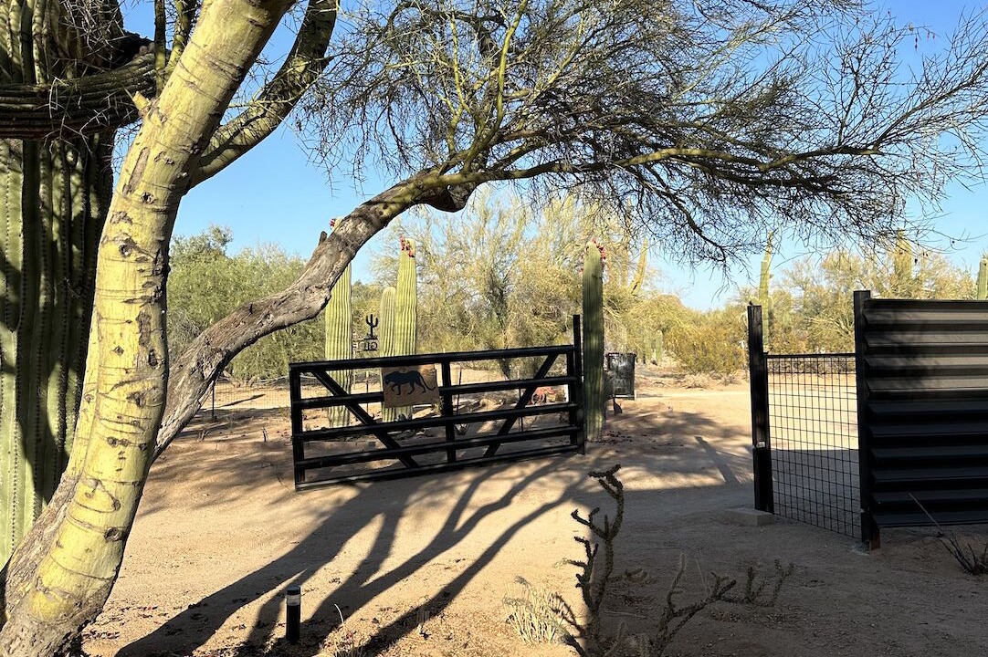 Photo of Outdoor in Picture Rocks