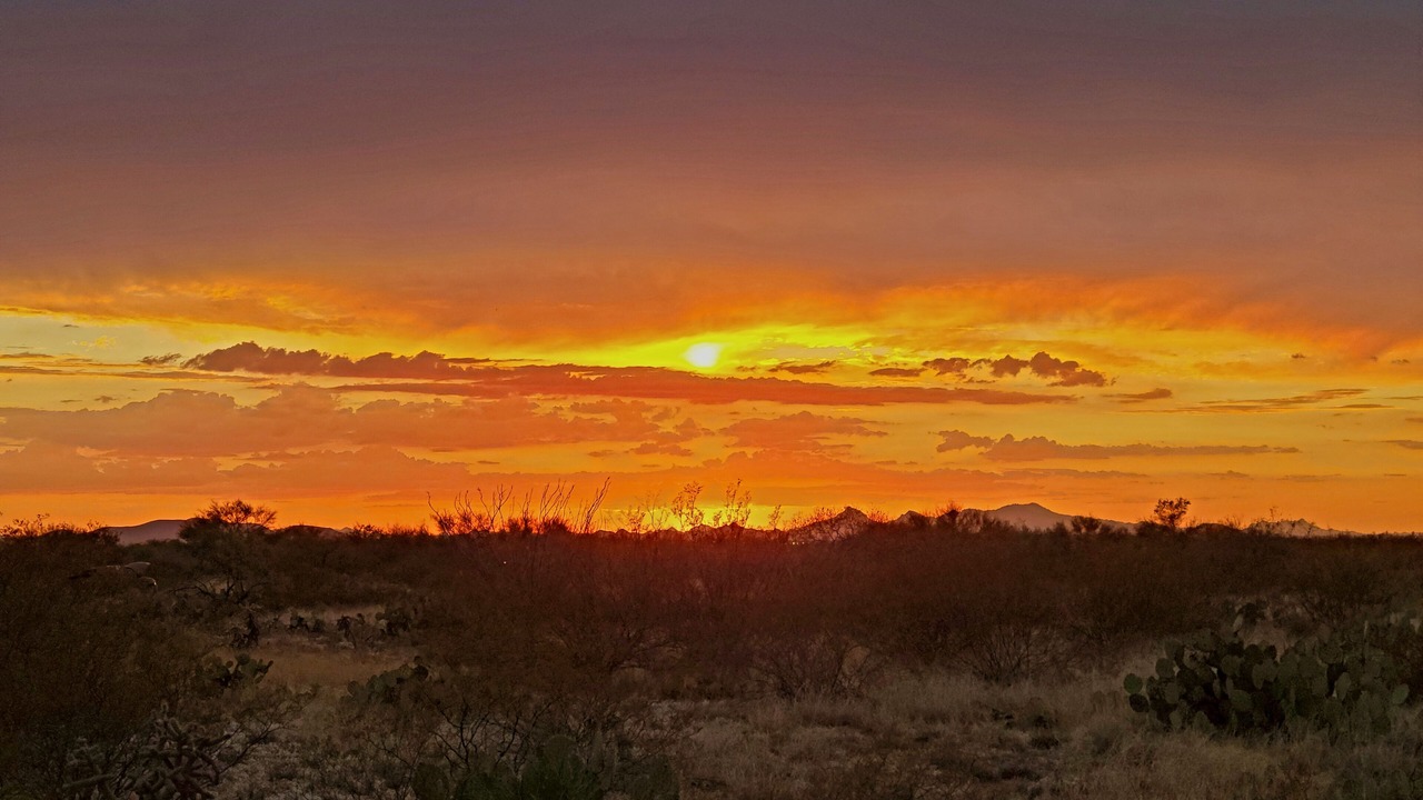 Photo of Others in Corona de Tucson