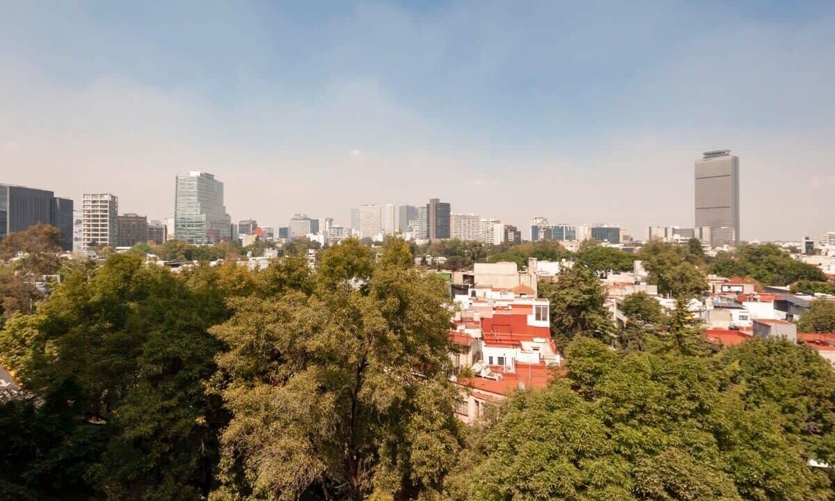 Photo of Others in Reforma
