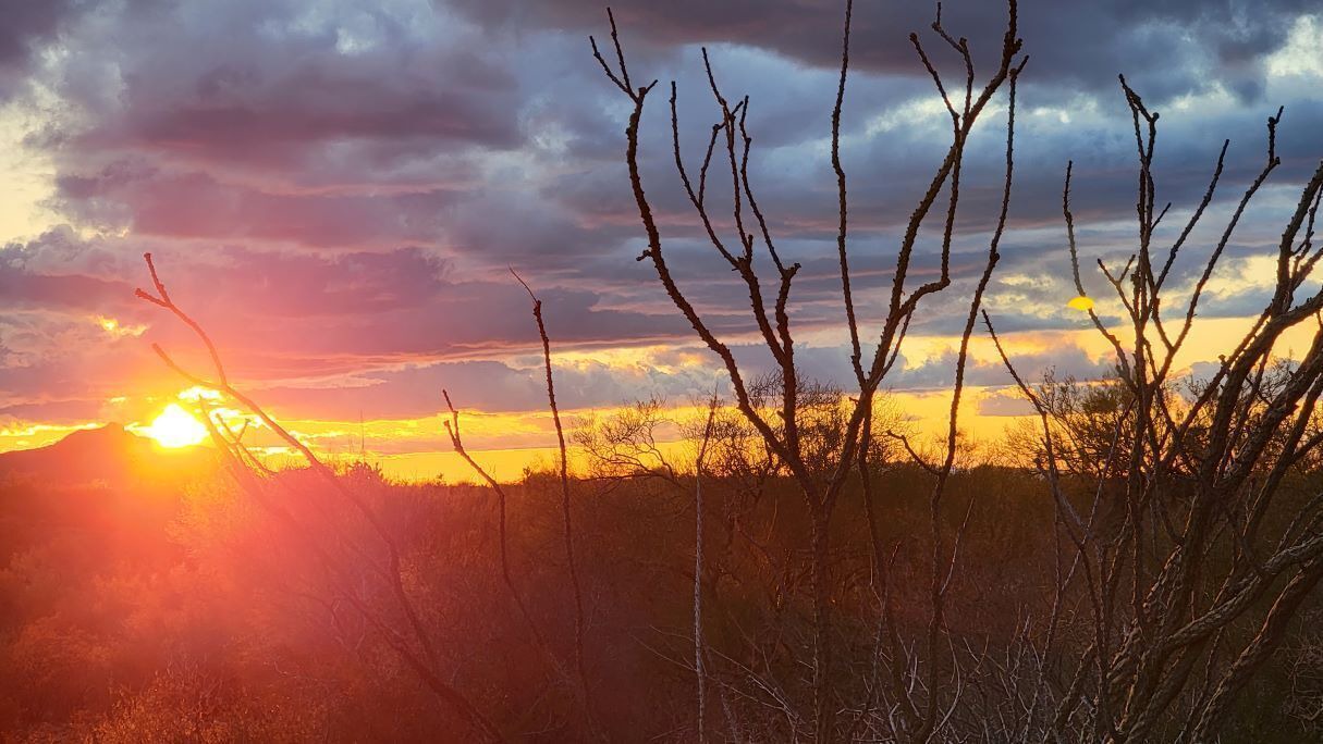 Photo of Others in Wickenburg