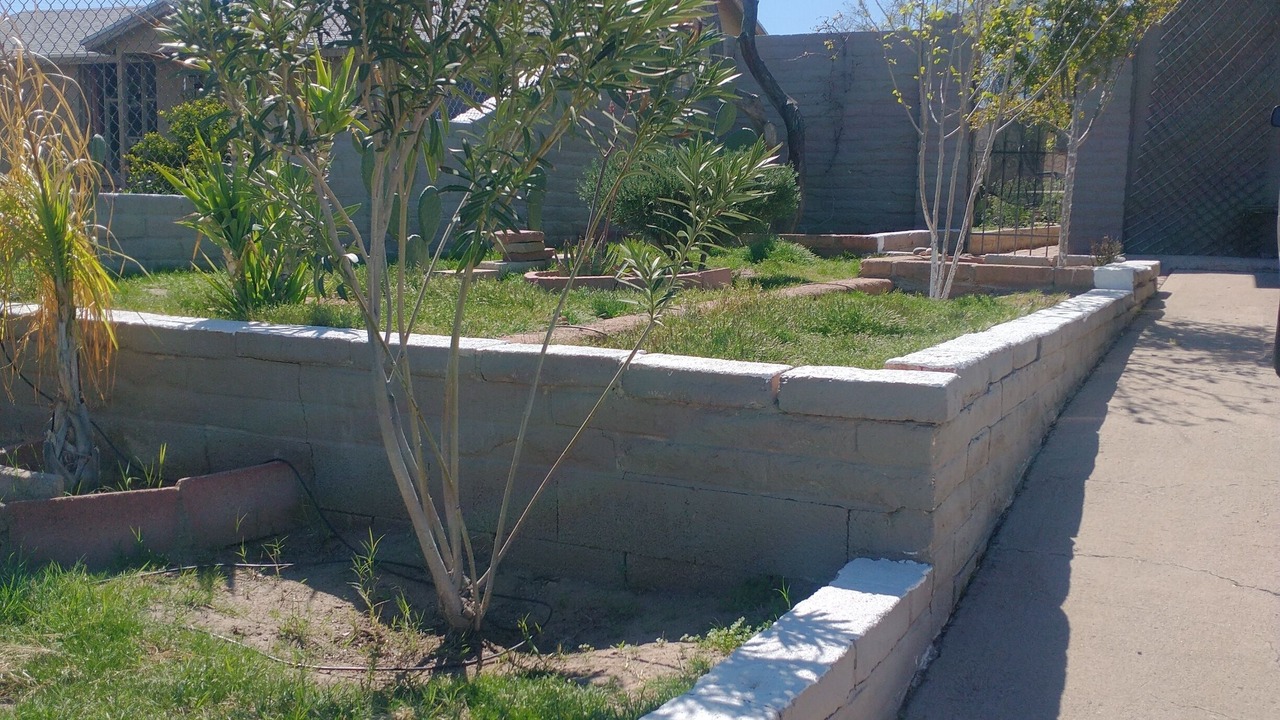 Photo of Outdoor in Tucson