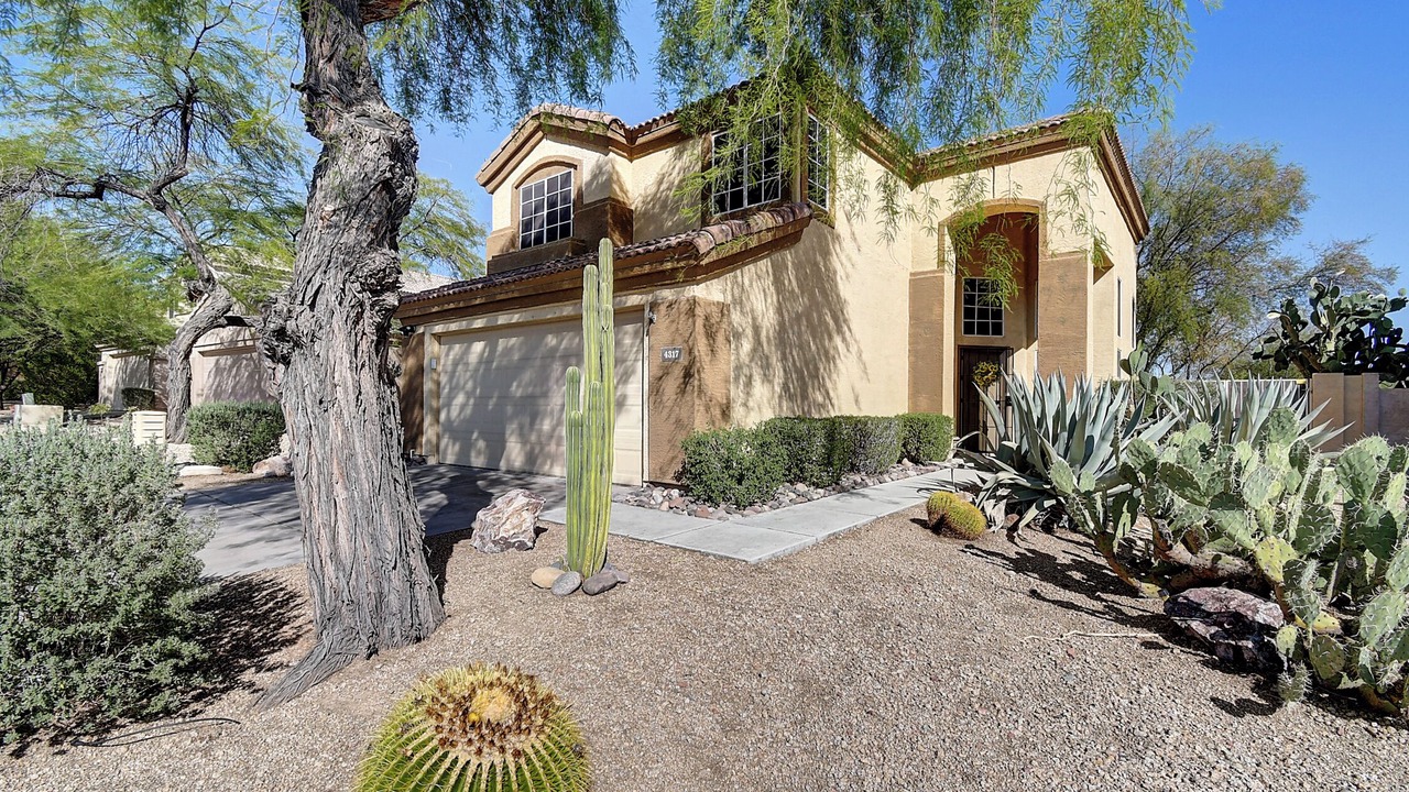 Photo of Outdoor in Tatum Ranch