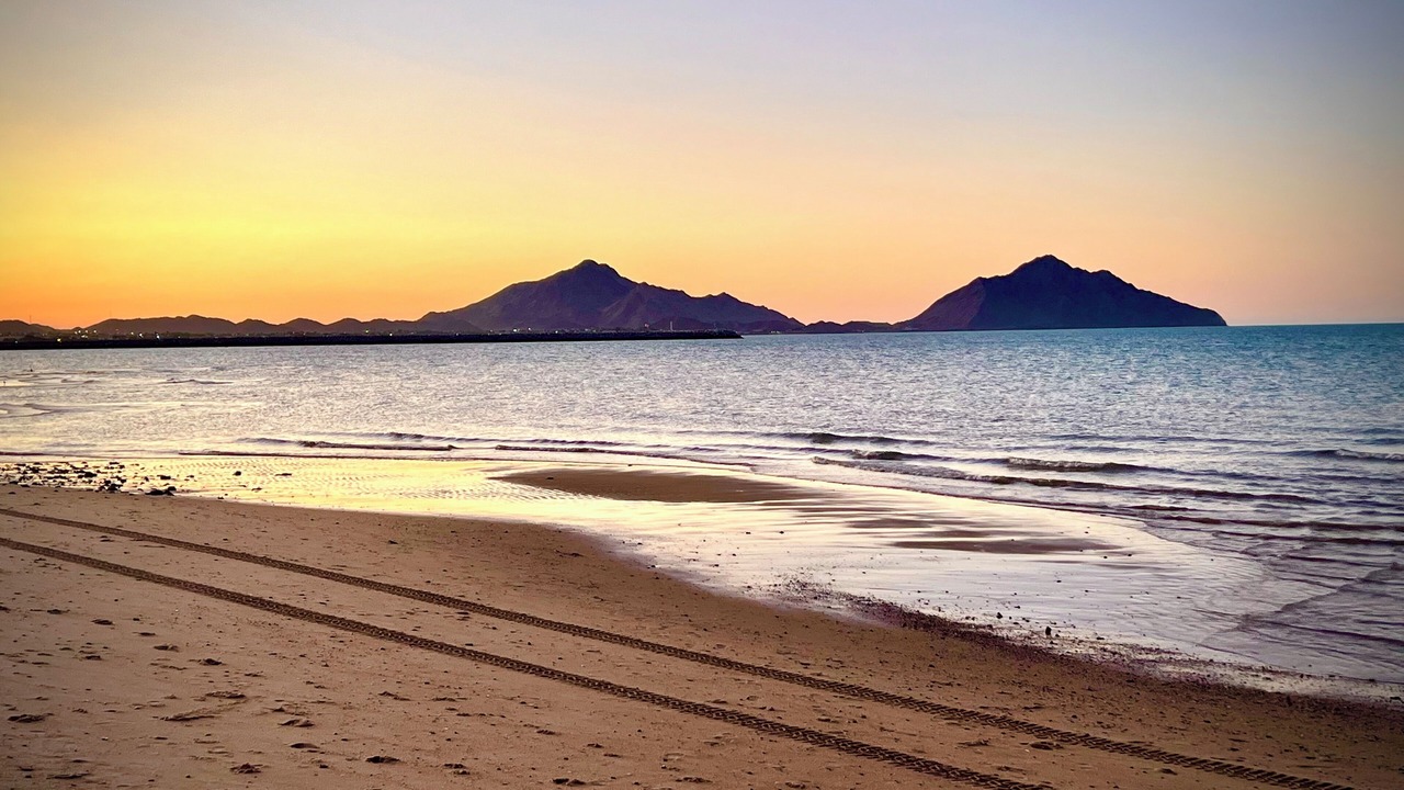 Photo of Others in San Felipe