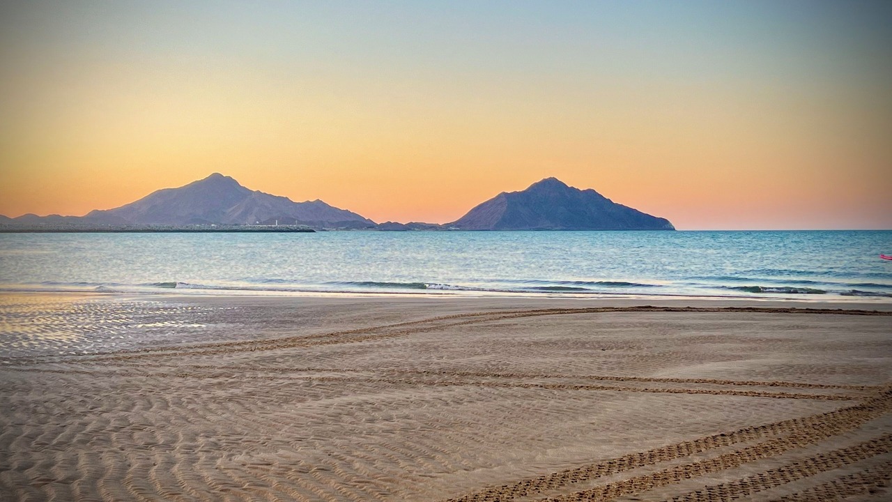 Photo of Others in San Felipe