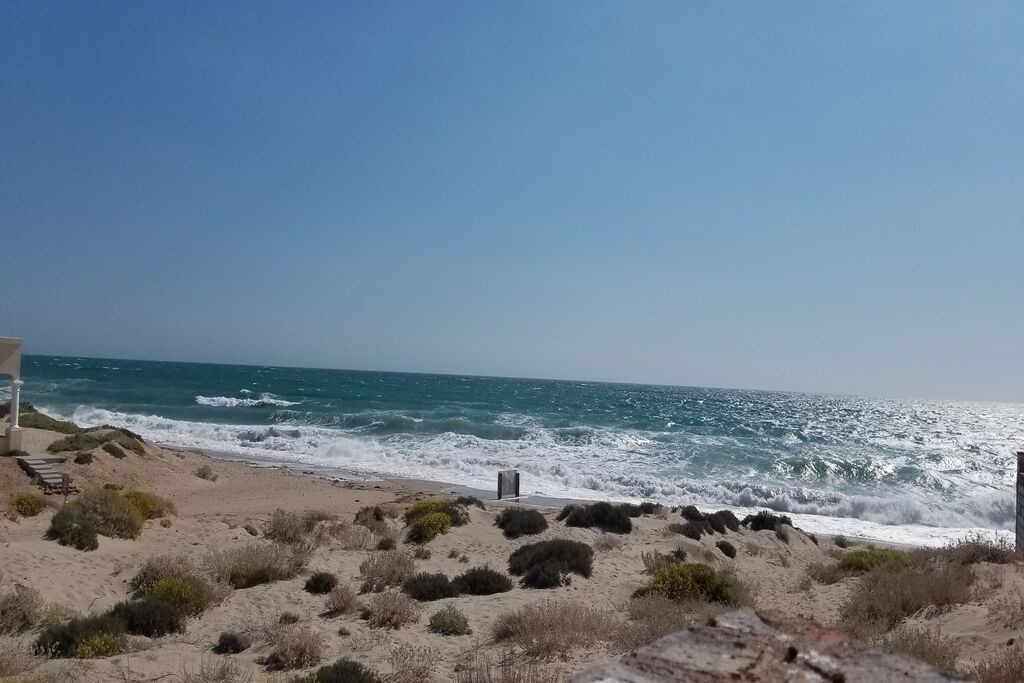 Photo of Others in Puerto Penasco
