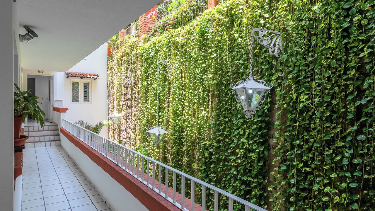 Photo of Outdoor in Emiliano Zapata