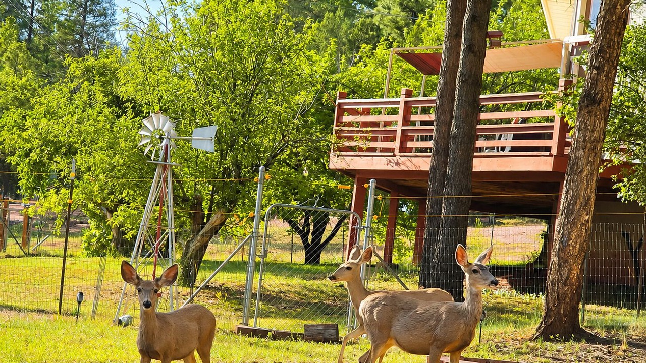 Photo of Outdoor in Payson