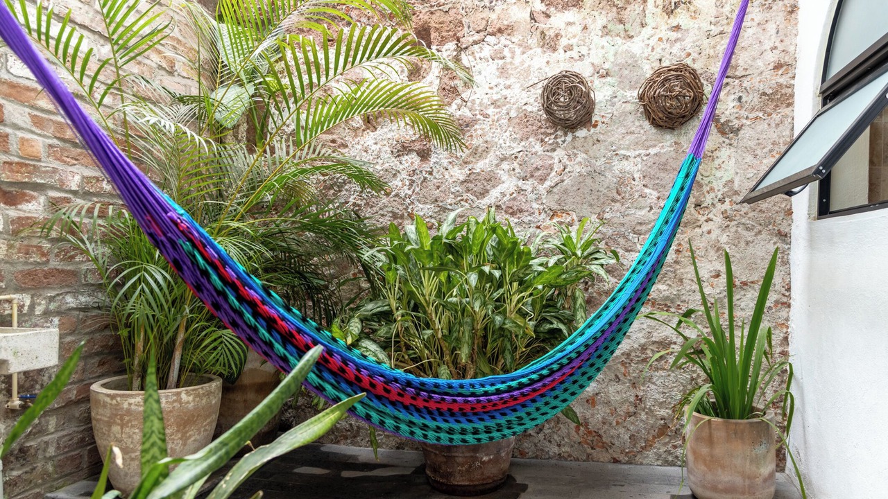 Photo of Outdoor in Downtown Puerto Vallarta