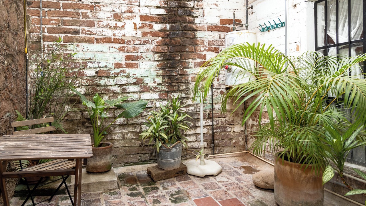 Photo of Outdoor in Downtown Puerto Vallarta