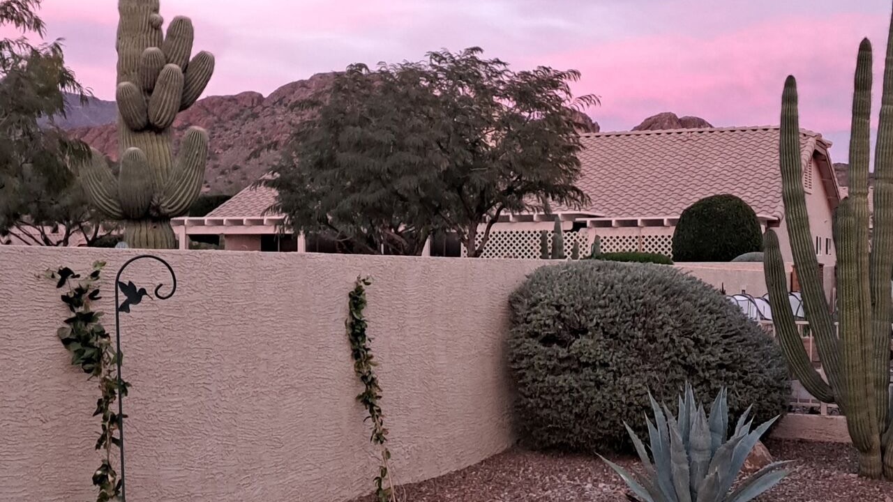 Photo of Outdoor in Gold Canyon
