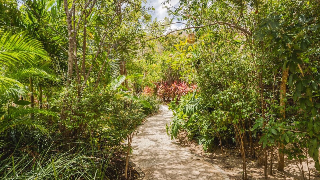 Photo of Outdoor in Zama