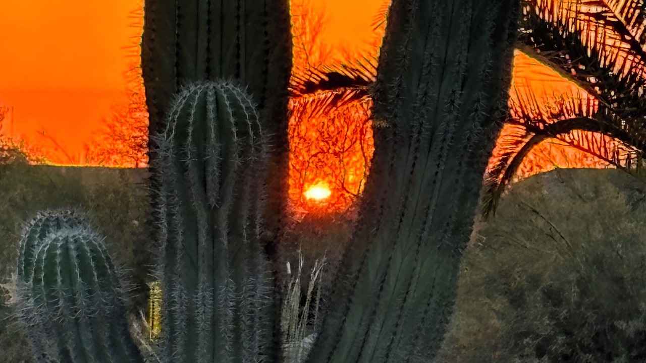 Photo of Others in A-M Ranch