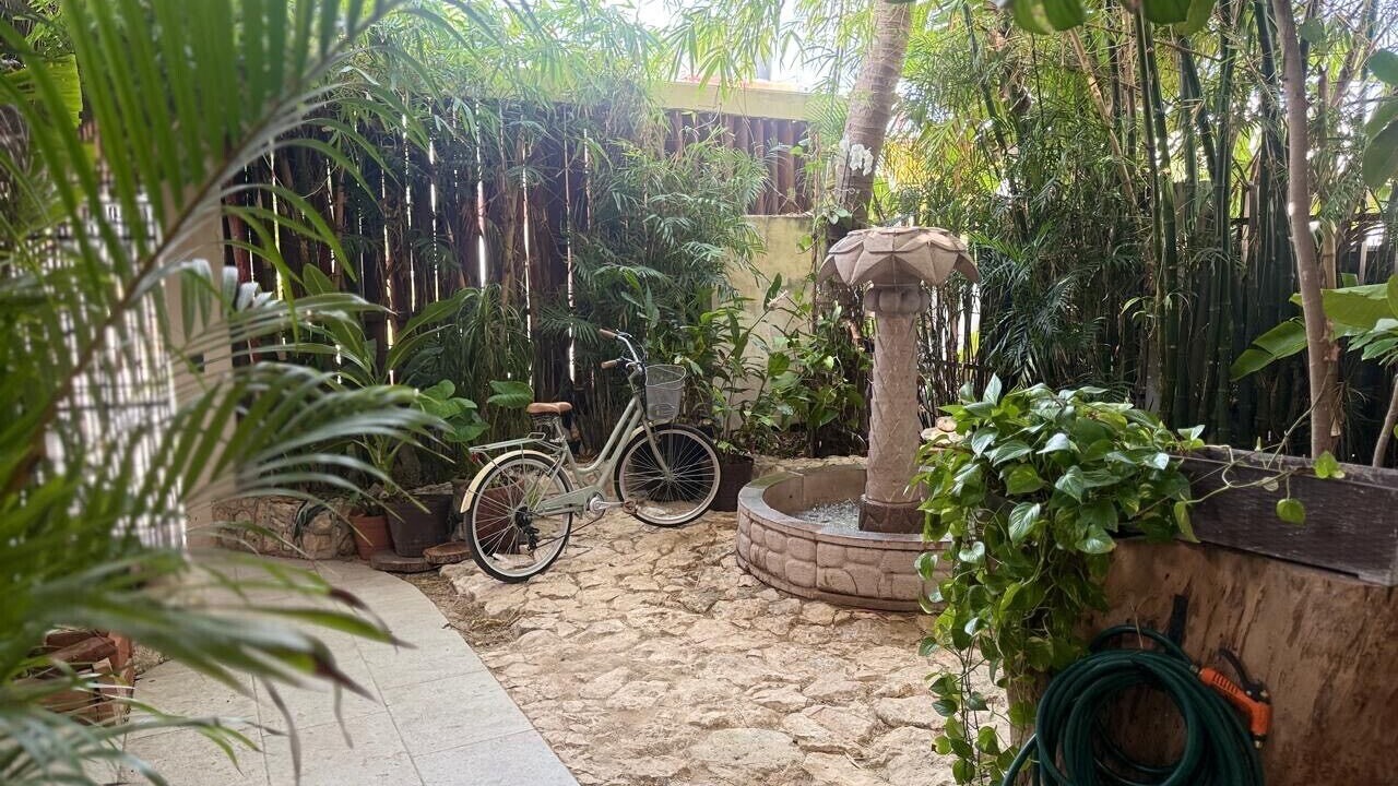 Photo of Outdoor in Luis Donaldo Colosio