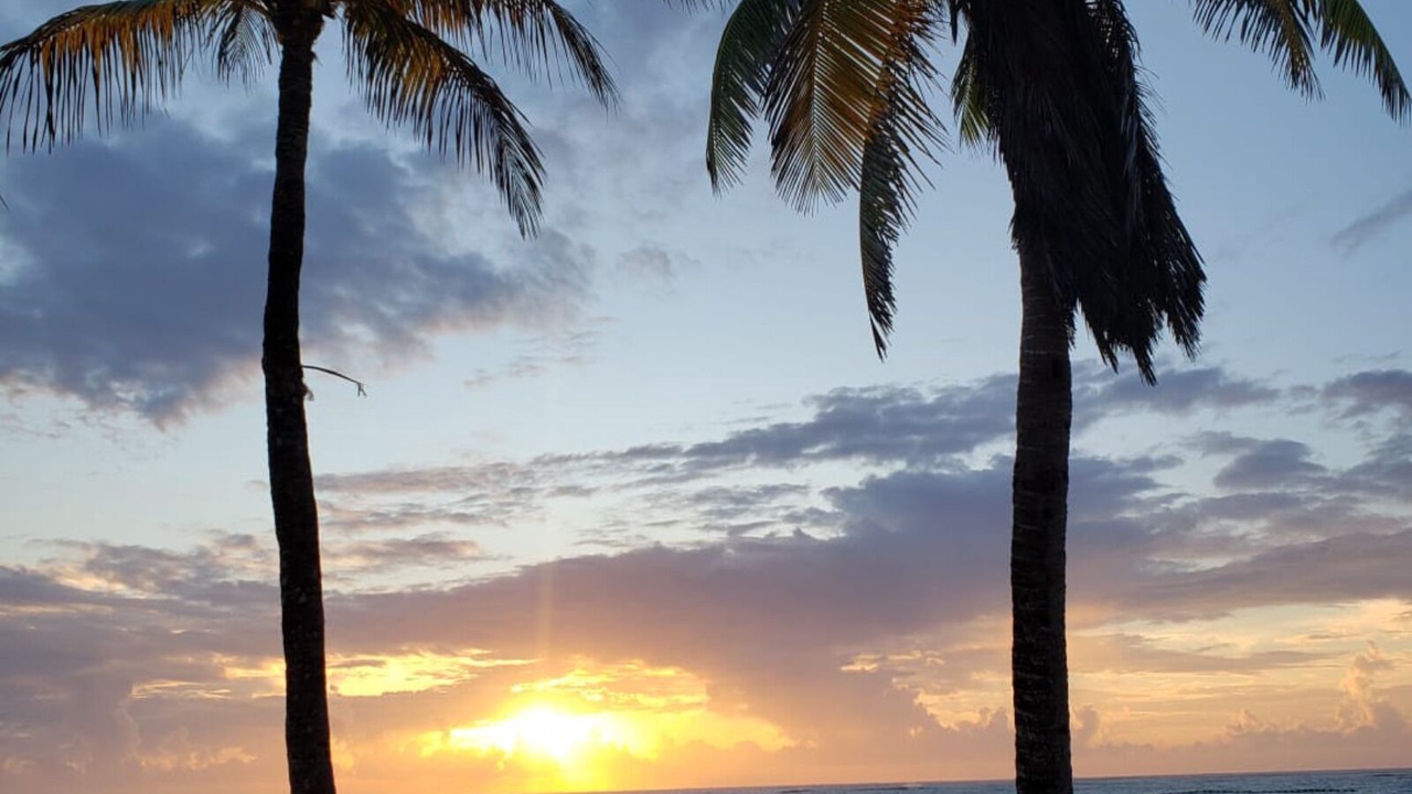 Photo of Others in Tulum