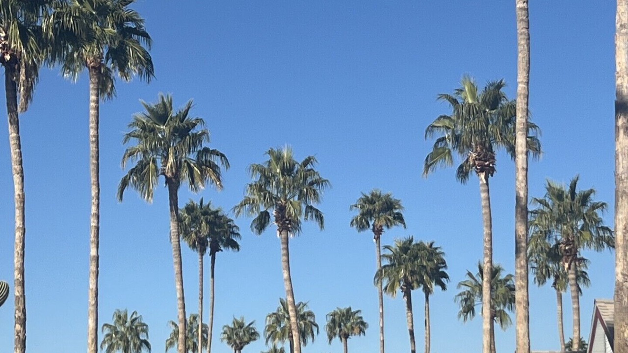 Photo of Others in Tucson