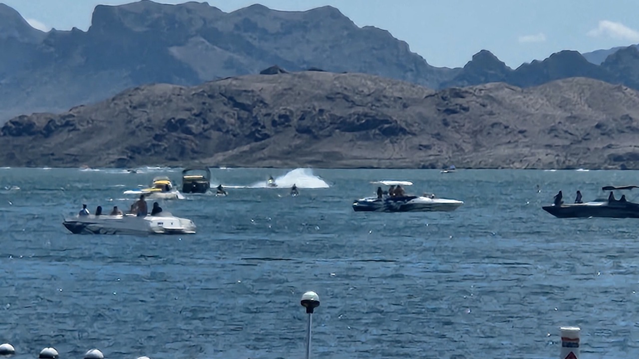 Photo of Others in Lake Havasu City