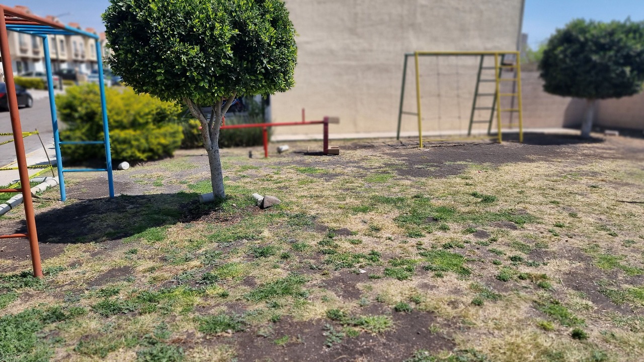 Photo of Others in Queretaro