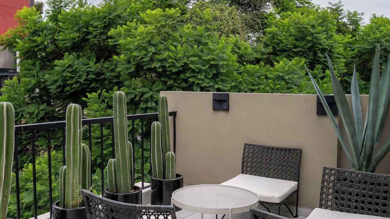Photo of Patio Balcony in Roma Norte